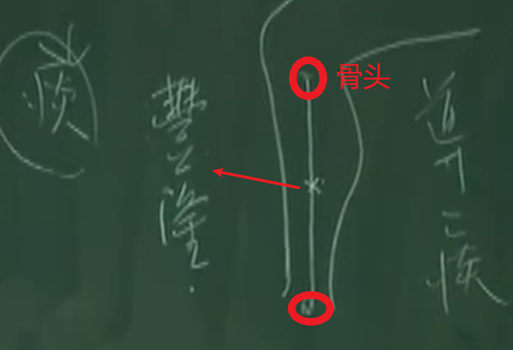 image-20230518113551187