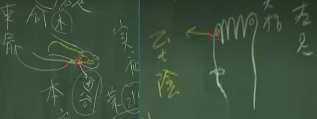 image-20230526091451243